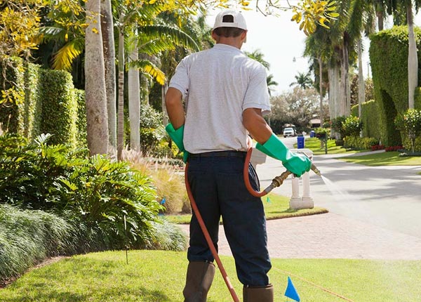 About Harmonsburg PA Pest Control